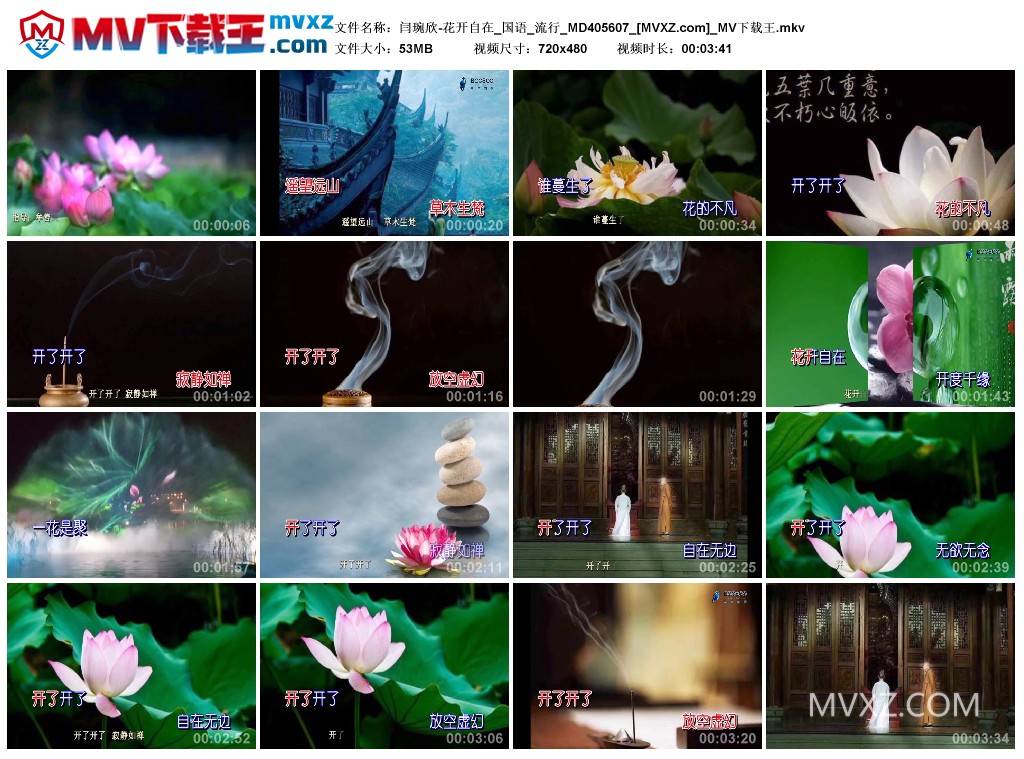 闫琬欣-花开自在_国语_流行_MD405607